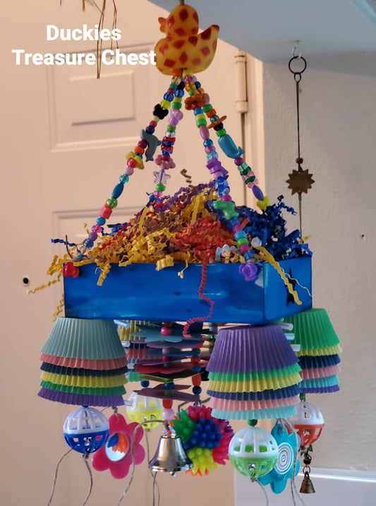 Duckies Treasure Chest - Small Bird Toy