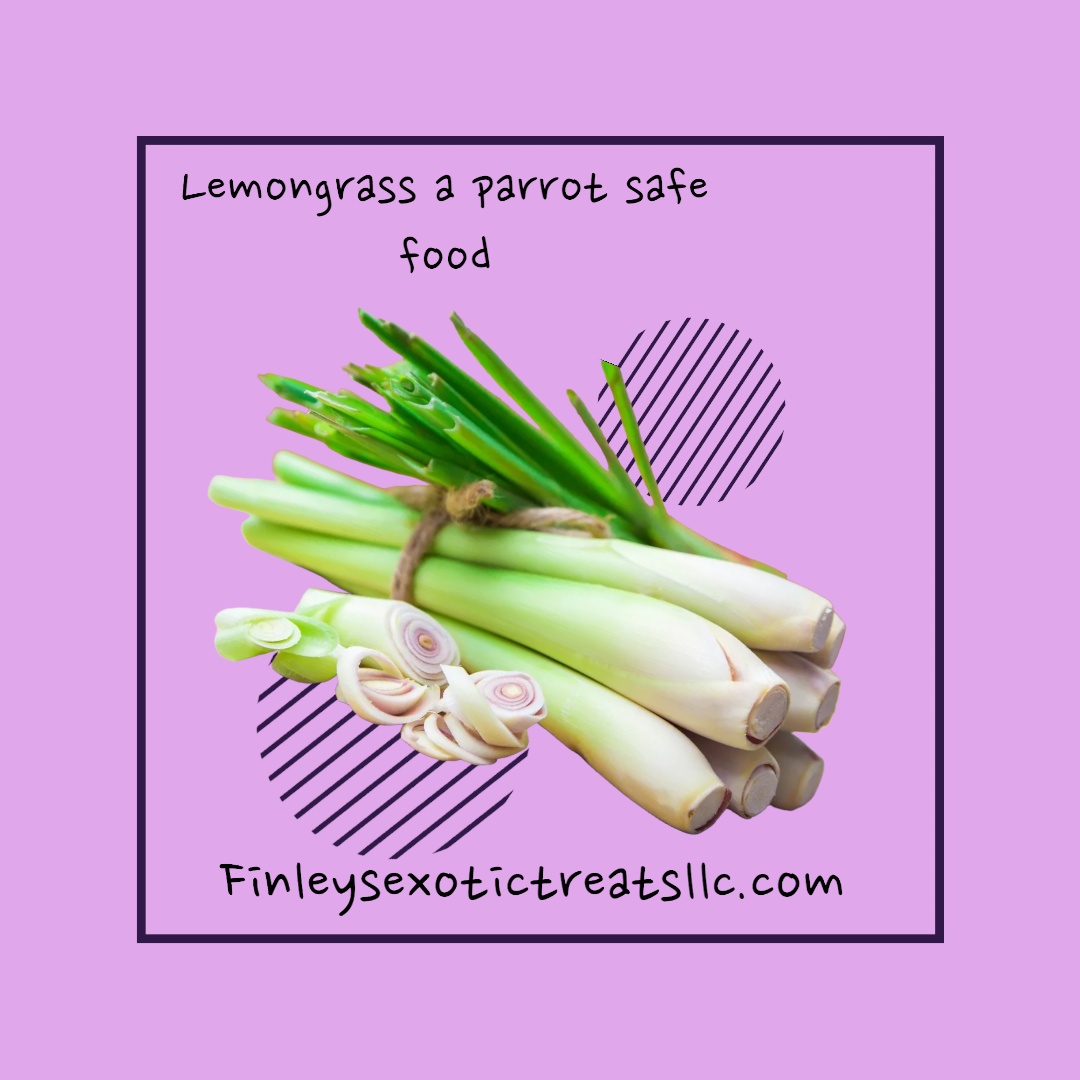 Did you Know #5 Lemongrass