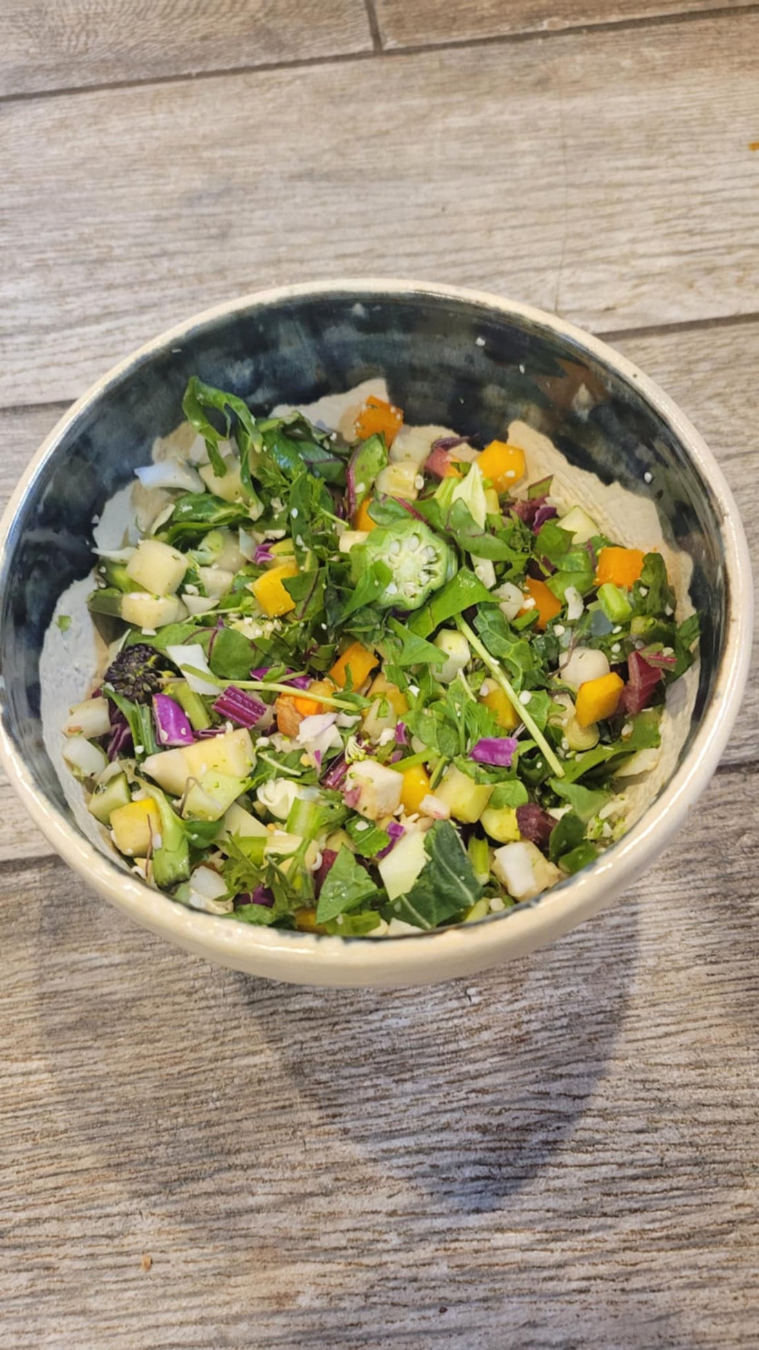 Rainbow Nutrition: This Week’s Fresh Parrot Chop 8-17