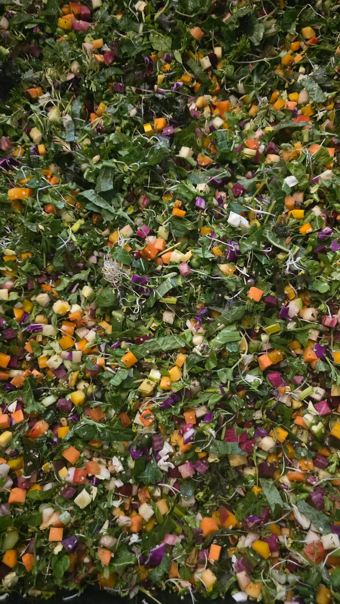 3-2-26 Chop Ingredients