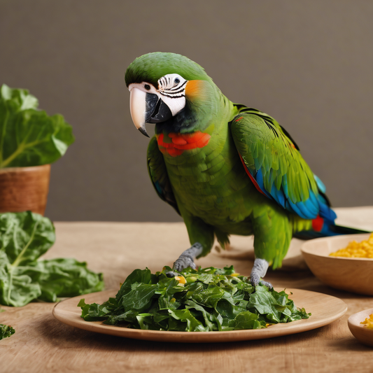 Feathered Feast: Why Collard Greens Are a Parrot's Pal 🌿🦜