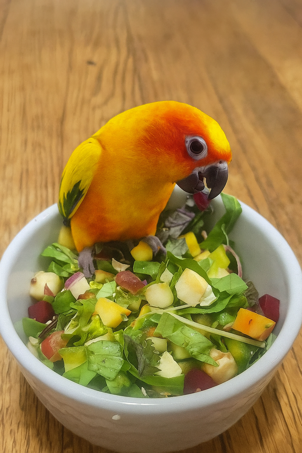 9-21💚 Fresh Parrot Chop Mix: Superfoods, Organic Greens & Locally Grown Goodness